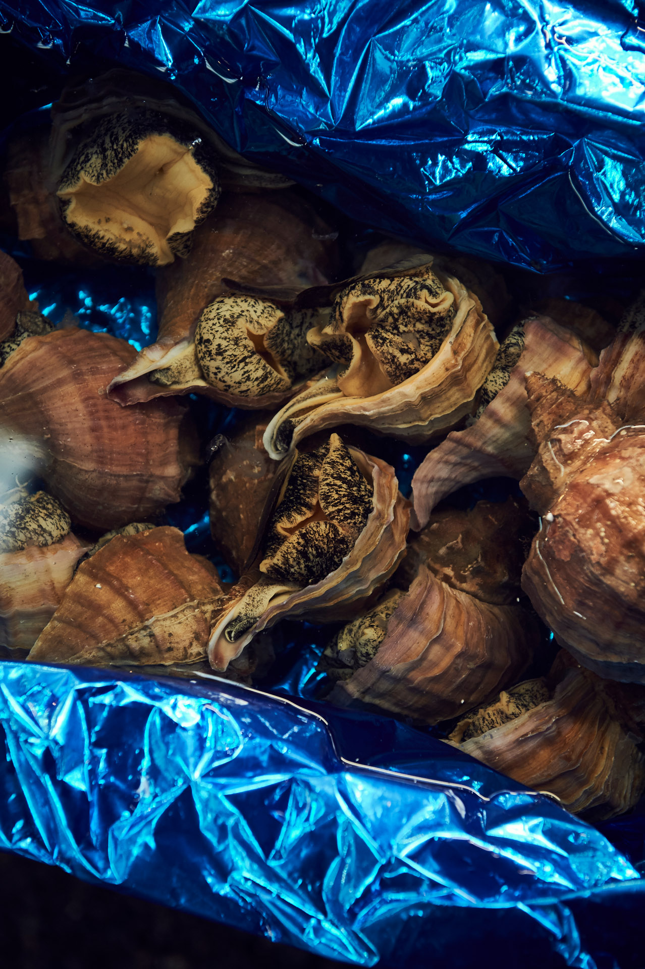 lukaslienhard_food_fotograf_zuerich_andreas_caminada_japan-20