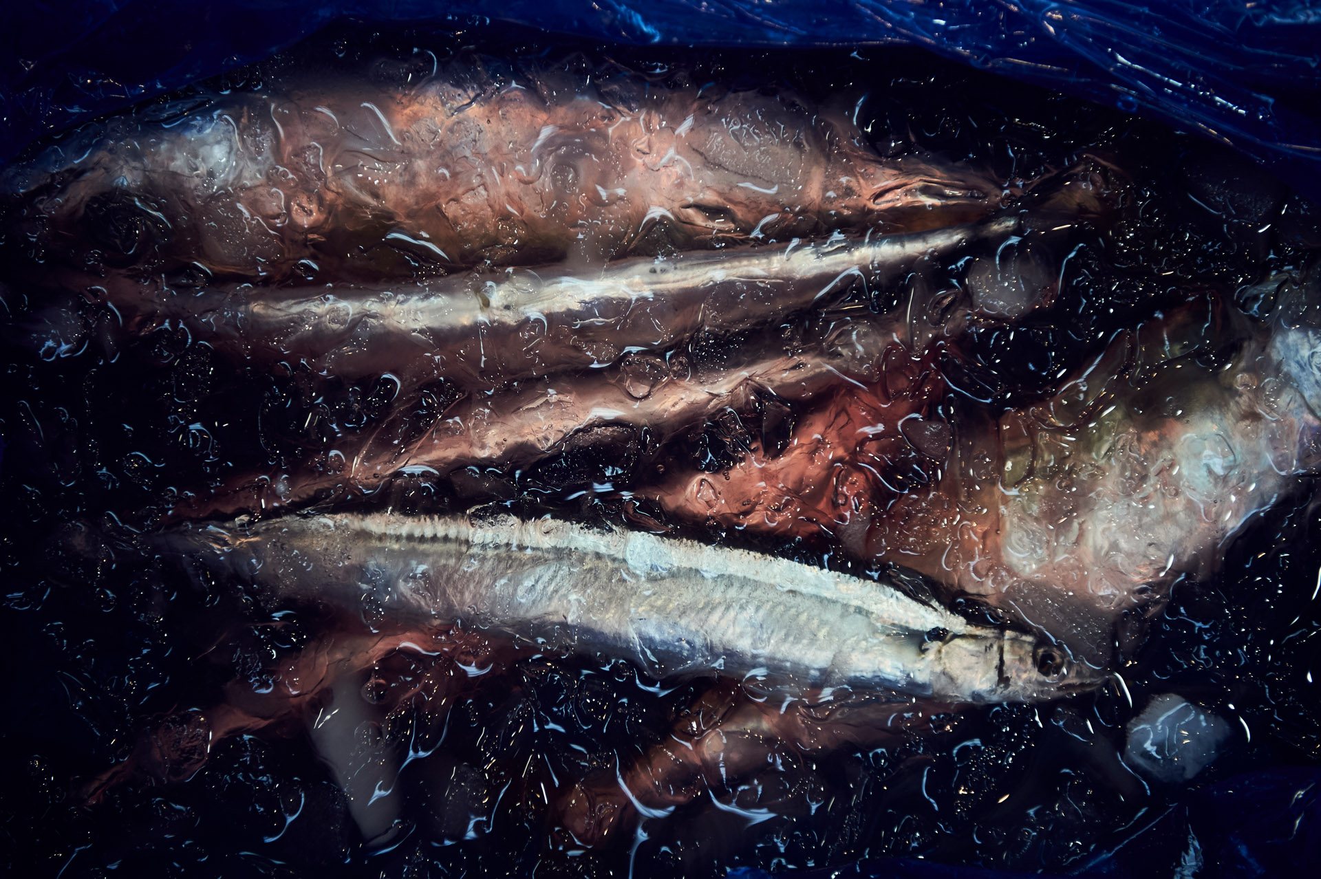 lukaslienhard_food_fotograf_zuerich_andreas_caminada_japan-21