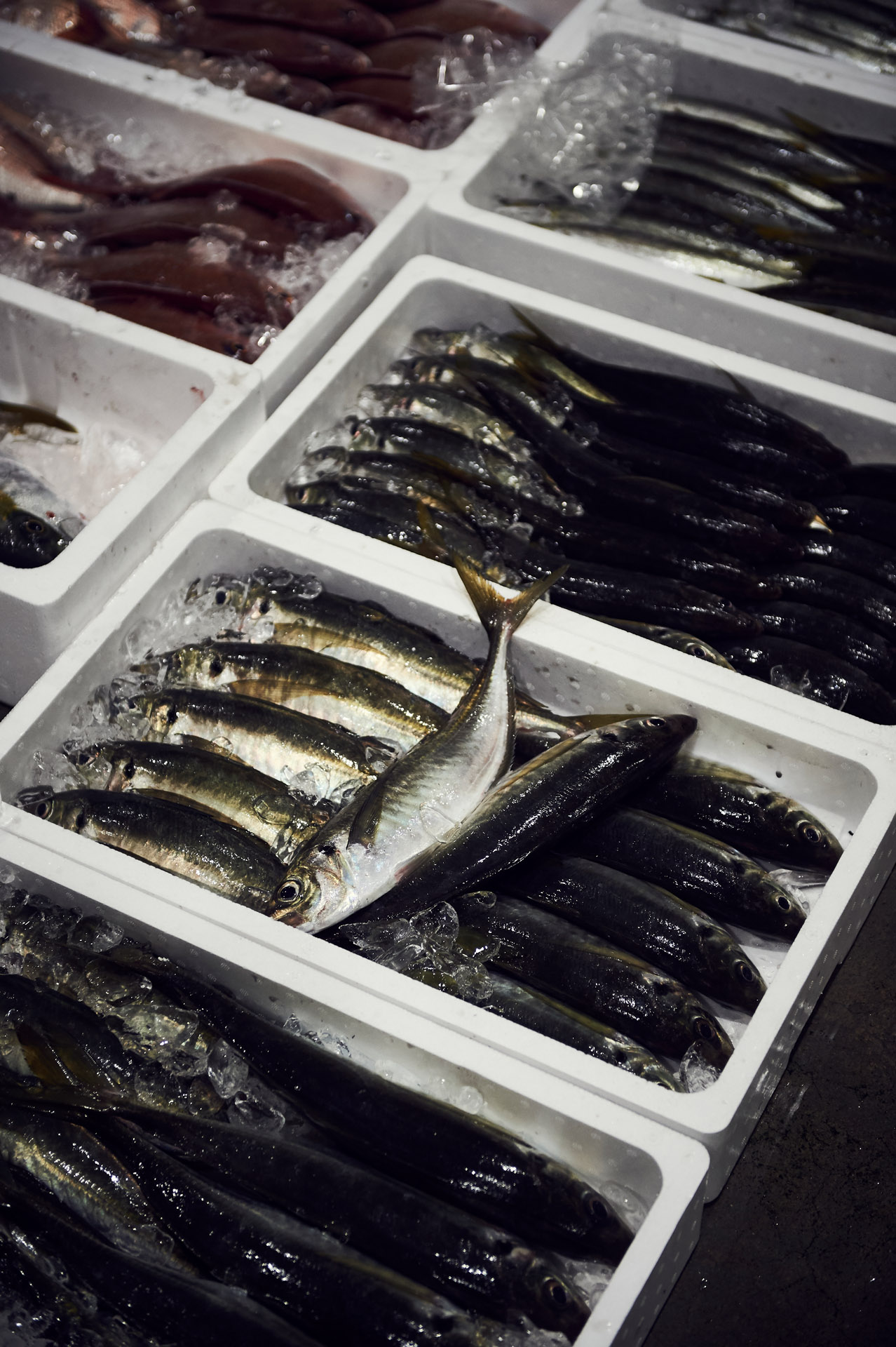 lukaslienhard_food_fotograf_zuerich_andreas_caminada_japan-43
