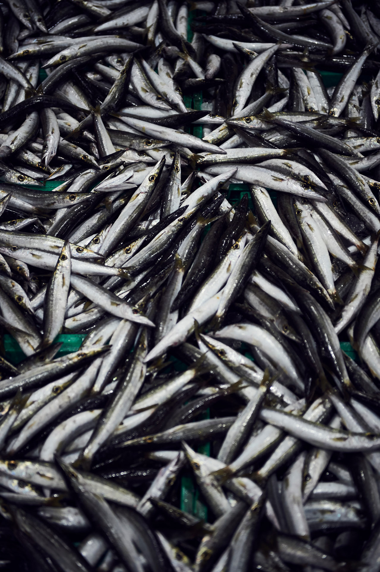 lukaslienhard_food_fotograf_zuerich_andreas_caminada_japan-44