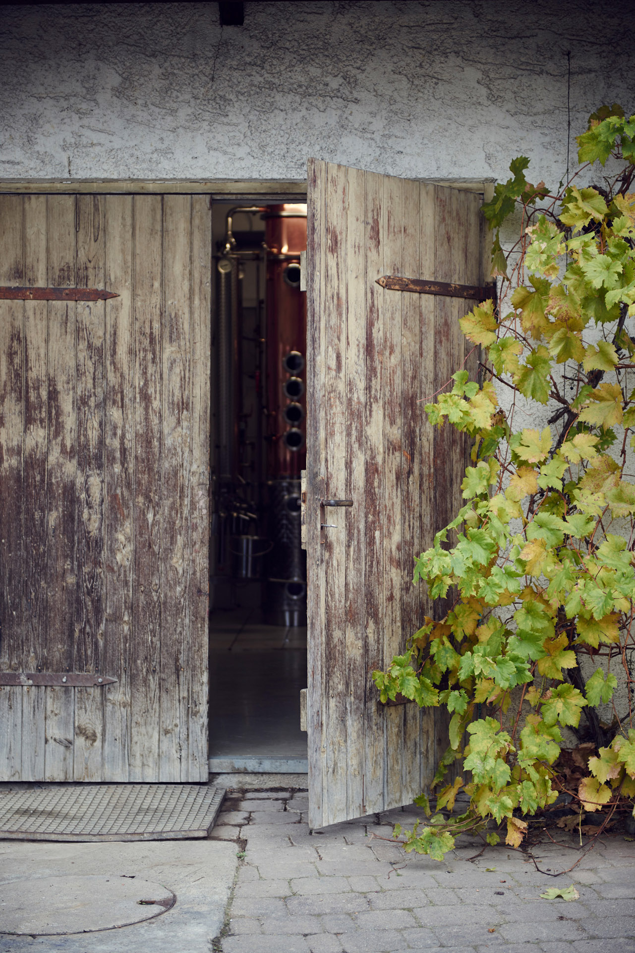 lukaslienhard_food_fotograf_zuerich_organic_distillery_christine_brugger-1
