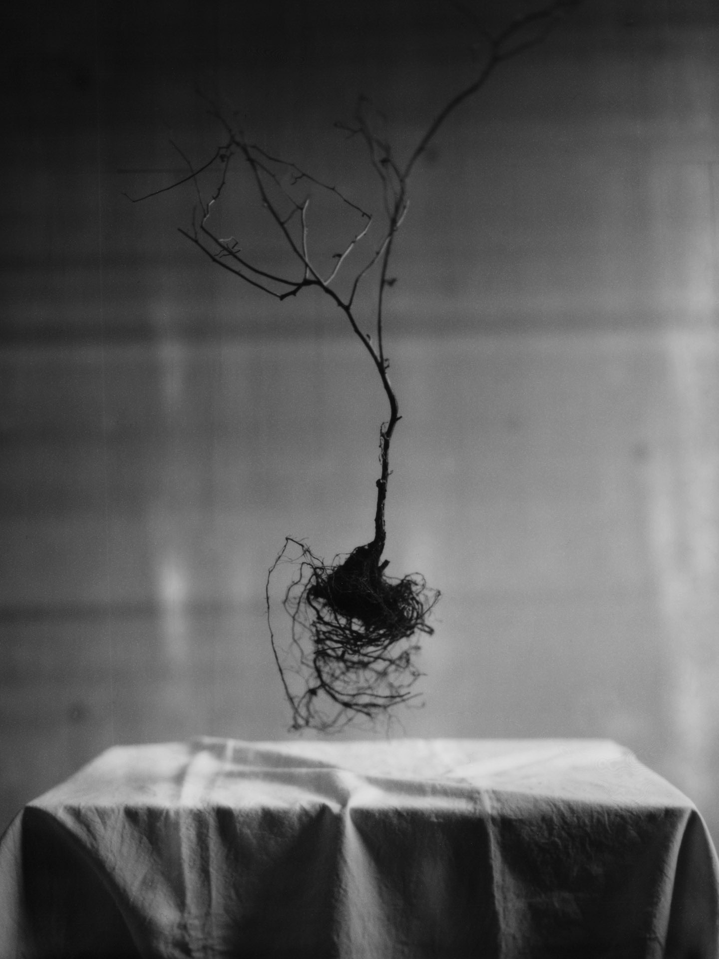 lukaslienhard_food_fotograf_zuerich_artisan-2