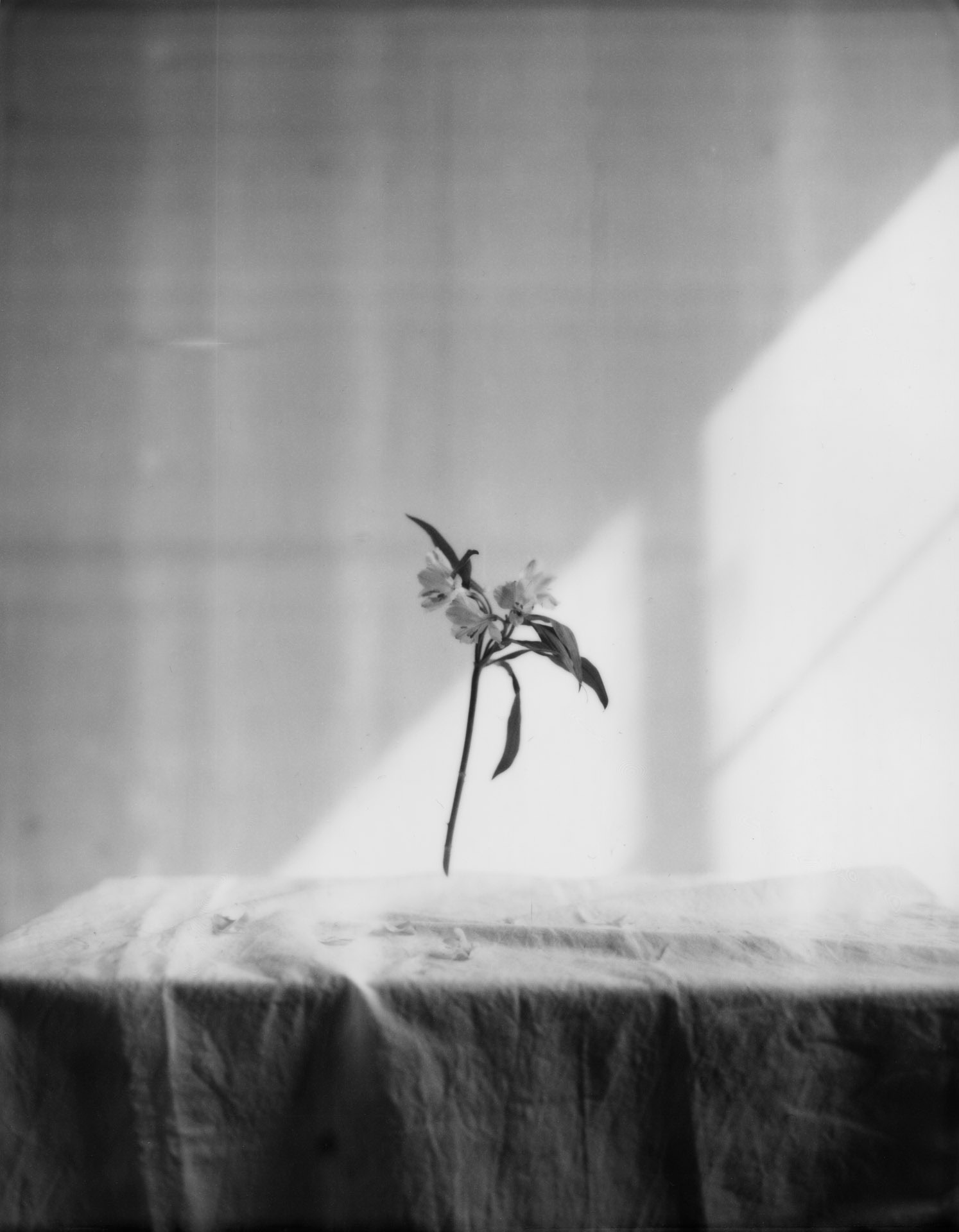 lukaslienhard_food_fotograf_zuerich_artisan-4