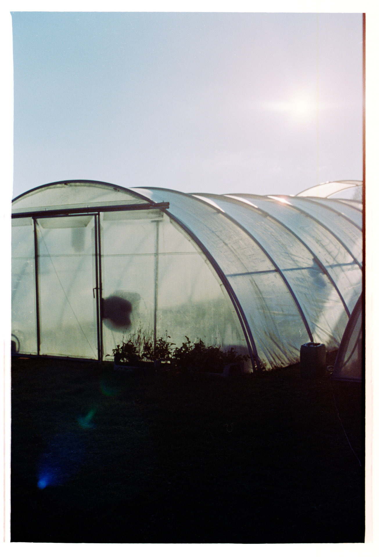 lukaslienhard_food_fotograf_zuerich_i_tavoli_del_vagabondo_simon_schneeberger-9