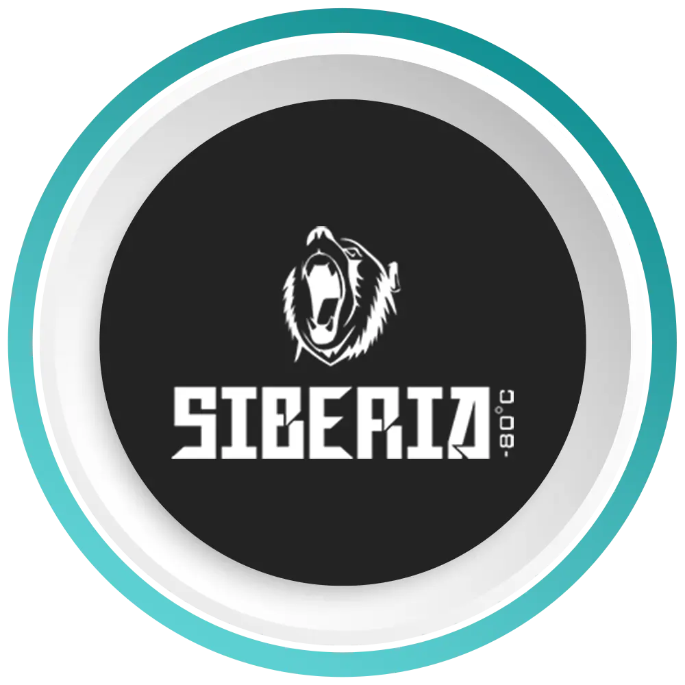Premium Siberia Snus in Thailand | Shop Now in Phuket