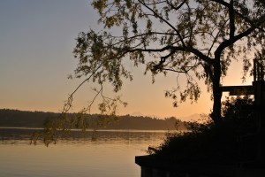 Beach-road-end-with-tree-sunset
