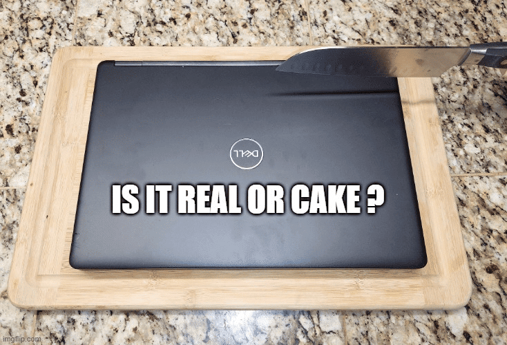 Is it real or is it cake meme
