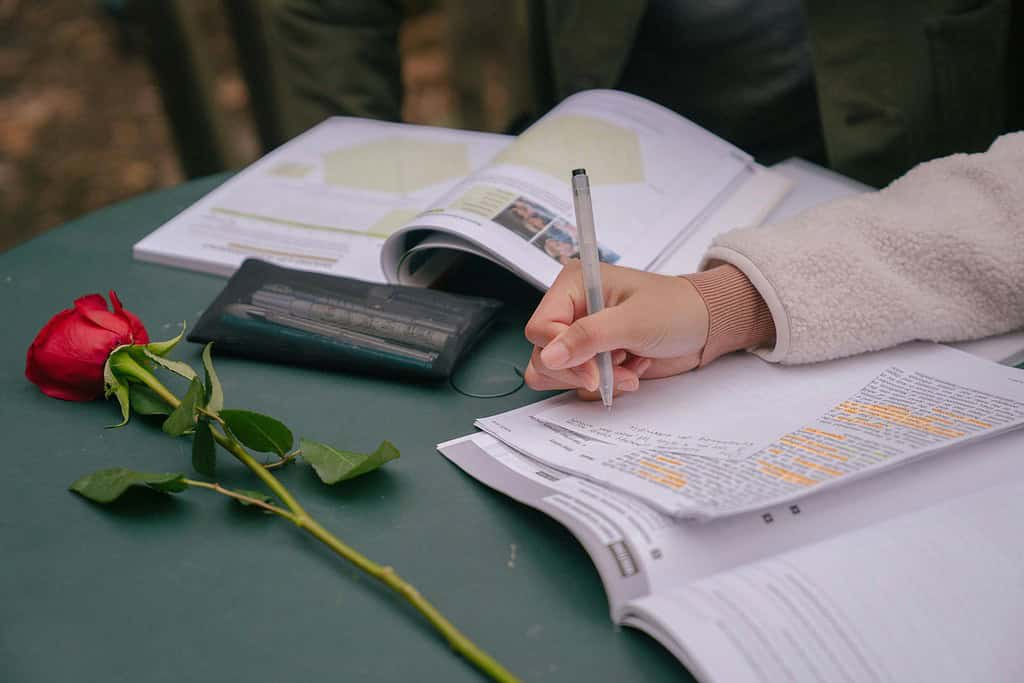 A stock photo of a person working on a written piece with highlights and different color pens to demonstrate the difference between proofreading vs copy editing.