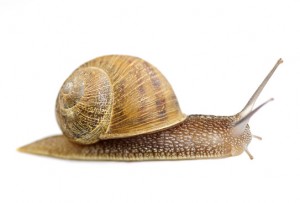 Fear slows down your freelance writing progress