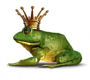 Frog prince