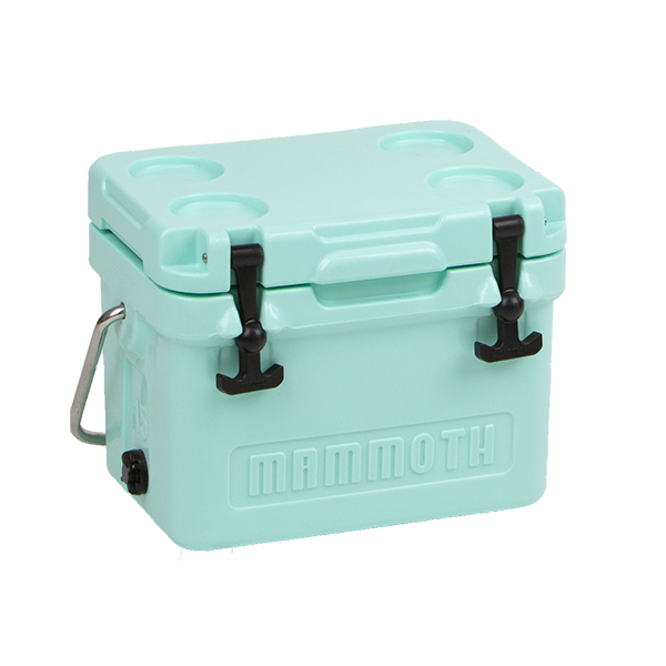seafoam teal cruiser cooler