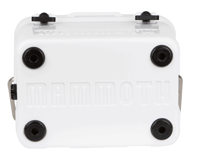 Cruiser-25-White-bottom-Slider-min cruiser 25 bottom view