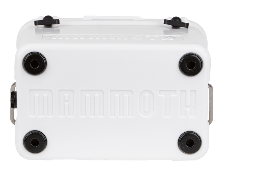 MC30W-Cruiser30-White-Bottom-Slider-min white cruiser 30 bottom view