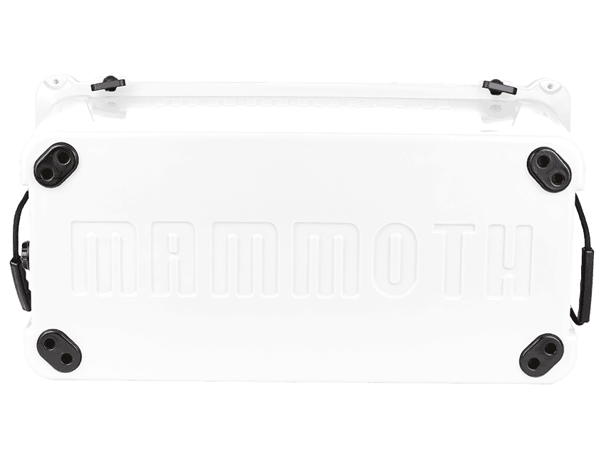 white ranger 125 bottom view