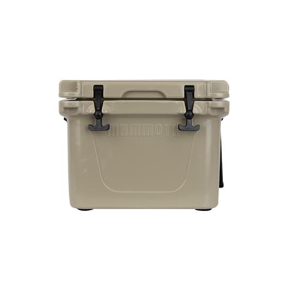 tan front view ranger 25