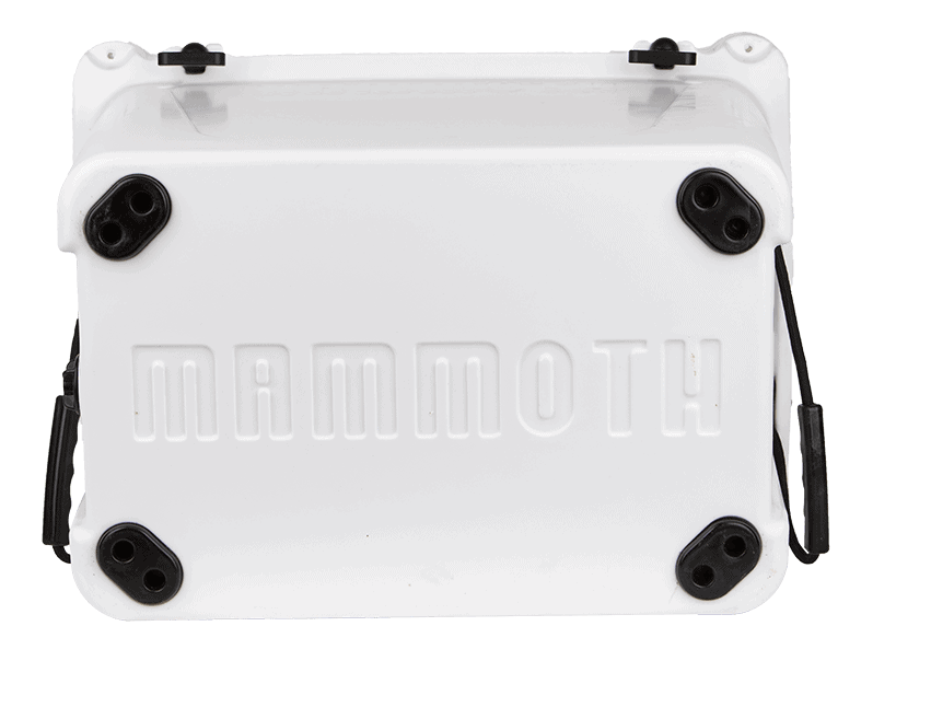 MR65W-Ranger65-White-Bottom-Slider-min white ranger 65 cooler bottom view