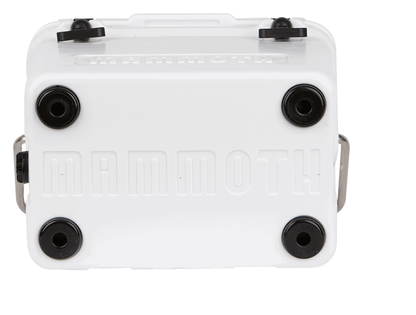 Mammoth-Cruiser-20-White-Bottom-min cruiser 20 bottom view white
