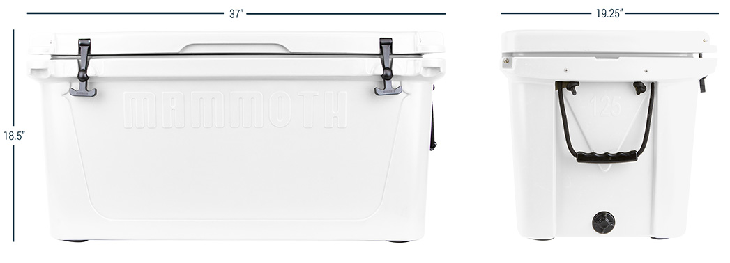 ranger 125 front and side view with dimensions