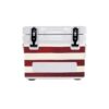flag print cooler