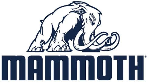 icon-logo mammoth logo