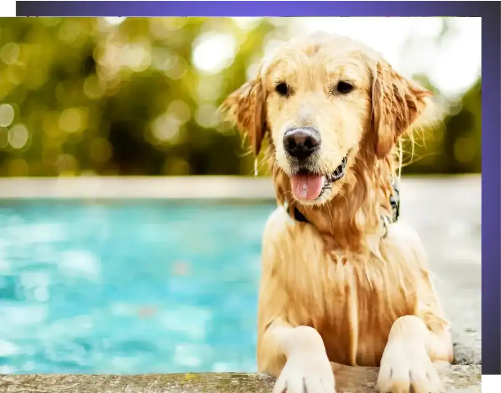 pool maintenance