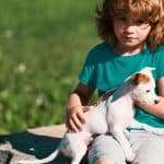 little girl sitting on rock with tiny white and brown puppy