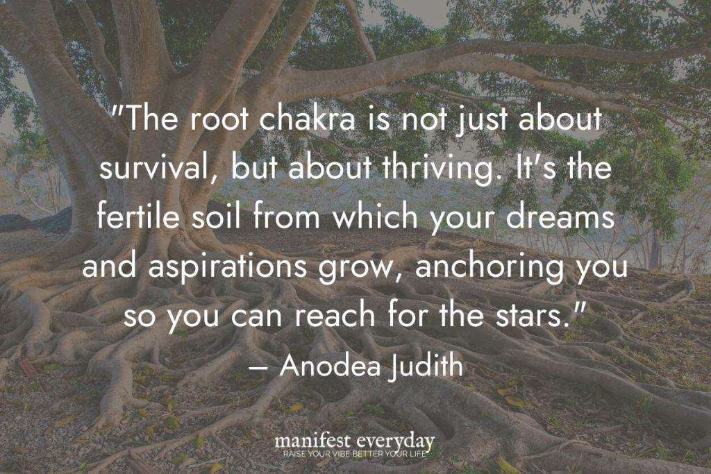 roots of an old tree in landscape photo with text that reads the root chakra is not just about survival, but about thriving. it's the fertile soil from which your dreams and aspirations grow, anchoring you so you can reach for the stars. - Anodea Judith manifesteveryday.com