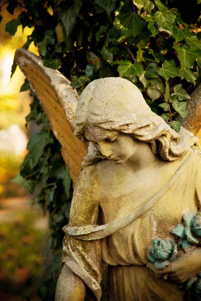 ancient angel statue in garden with green vines and plants