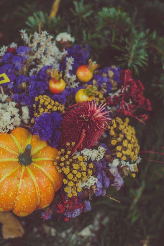 Festive autumn flowers and pumpkin with pine