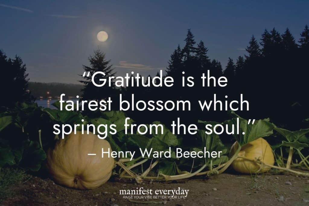 full autumn moon with trees and pumpkins on vines on the ground with quote text that reads “Gratitude is the fairest blossom which springs from the soul.” - Henry Ward Beecher manifesteveryday.com