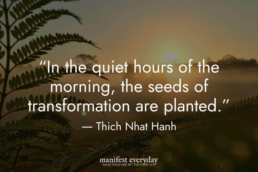 morning sunrise in nature with silhouette of fern and sun in the distance with quote text that reads “In the quiet hours of the morning, the seeds of transformation are planted.” - Thich Nhat Hanh manifesteveryday.com