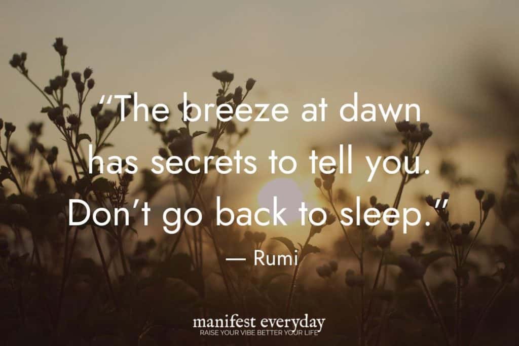 sunrise in nature with silhouette of plants with sun coming up in the distance with quote text that reads “The breeze at dawn has secrets to tell you. Don’t go back to sleep.” - Rumi manifesteveryday.com