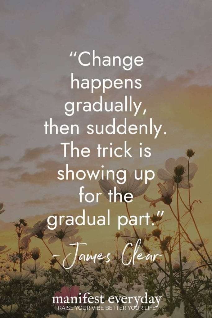 Delicate wildflowers silhouetted against sunset sky with James Clear quote Change happens gradually then suddenly The trick is showing up for the gradual part with yellow starburst saying More Quotes + Action Steps Inside → Read the Post! manifesteveryday.com