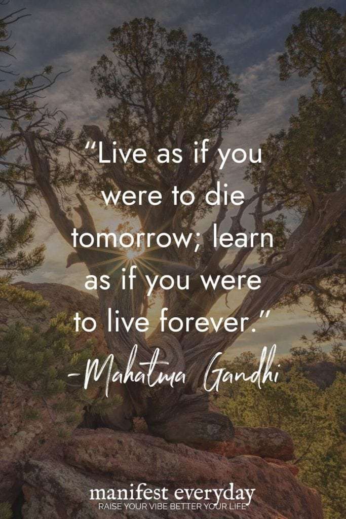 Ancient gnarled tree against sunset sky with quote by Mahatma Gandhi: "Live as if you were to die tomorrow; learn as if you were to live forever." Yellow starburst with "More Quotes + Action Steps Inside → Read the Post!" manifesteveryday.com