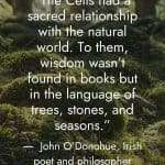 Forest floor covered in lush green moss with quote "The Celts had a sacred relationship with the natural world. To them, wisdom wasn't found in books but in the language of trees, stones, and seasons." by John O'Donohue, Irish poet and philosopher manifesteveryday.com