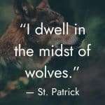 Wolf in profile view against a dark forest background with quote "I dwell in the midst of wolves." attributed to St. Patrick, highlighting his courage in bringing spiritual teachings to challenging environments, with manifesteveryday.com and "RAISE YOUR VIBE BETTER YOUR LIFE" tagline at the bottom manifesteveryday.com