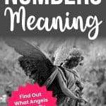 Pinterest pin featuring a black and white angel statue with detailed wings and the bold text "444 ANGEL NUMBERS Meaning" at the top. A bright pink starburst shape in the lower section contains the call to action "Find Out What Angels Are Really Saying → Read the Post!" The website URL "MANIFESTEVERYDAY.COM" appears at the bottom of the image. This elegant vertical pin combines spiritual imagery with compelling text to attract readers interested in understanding the true meaning of angel number 444. manifesteveryday.com