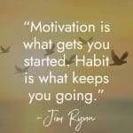 Inspirational quote on a golden sunset background with flying birds silhouettes reading "Motivation is what gets you started. Habit is what keeps you going." -Jim Ryan. manifesteveryday.com RAISE YOUR VIBE BETTER YOUR LIFE