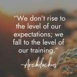 Inspirational quote against a blurred natural background with delicate flowers reading "We don't rise to the level of our expectations; we fall to the level of our training." -Archilochus. manifesteveryday.com RAISE YOUR VIBE BETTER YOUR LIFE