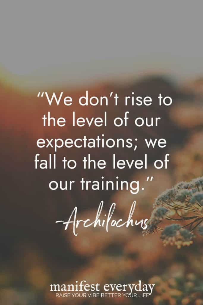 Inspirational quote against a blurred natural background with delicate flowers reading "We don't rise to the level of our expectations; we fall to the level of our training." -Archilochus. manifesteveryday.com RAISE YOUR VIBE BETTER YOUR LIFE