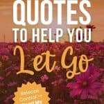 Field of pink flowers at sunset with text overlay reading "27 Quotes To Help You Let Go" and call-to-action button. manifesteveryday.com