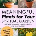 Four-photo grid showing lavender, rosemary, garden phlox, and evening primrose with text "Meaningful Plants for Your Spiritual Garden" and orange call-to-action. manifesteveryday.com