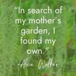 Air plants and delicate greenery backdrop with Alice Walker quote "In search of my mother's garden, I found my own" - perfect inspiration for creating a spiritual garden. manifesteveryday.com