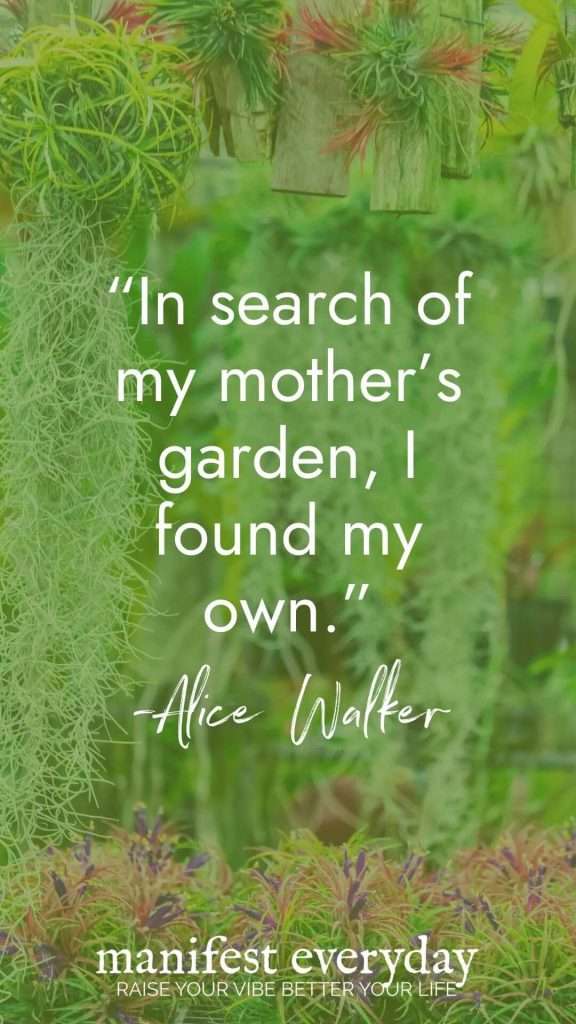 Air plants and delicate greenery backdrop with Alice Walker quote "In search of my mother's garden, I found my own" - perfect inspiration for creating a spiritual garden. manifesteveryday.com