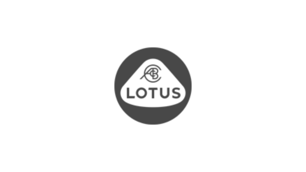 Lot Cars