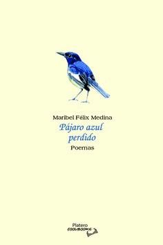 Pájaro azul perdido, poema de Maribel Félix Medina, arte y sensibilidad en letras.