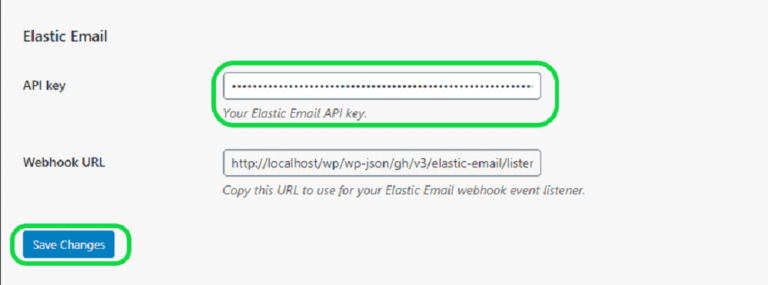 Elastic email API key input field for marketing automation by Rob.