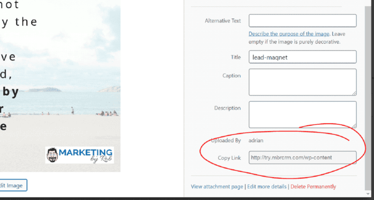 Lead magnet for email list building, marketing strategy, and online business growth by Rob.