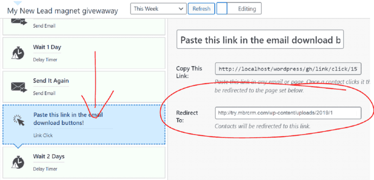 Download link for lead magnet in email marketing automation, redirect URL example, marketing funnel strategy, email list building, lead generation tools.