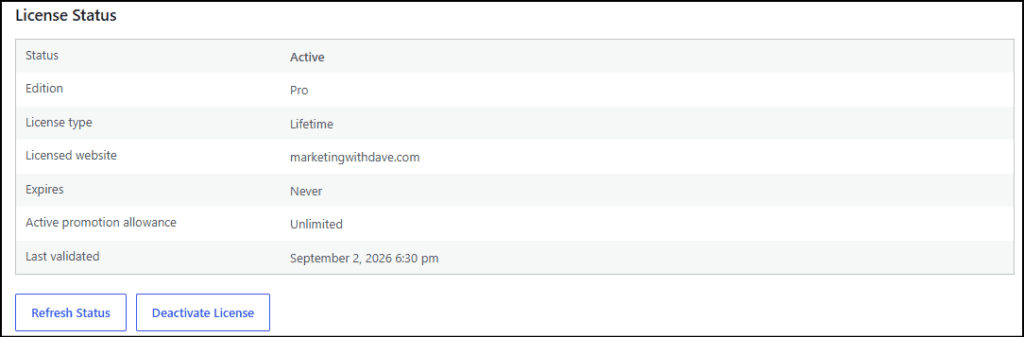 Screenshot of license status for 'Marketing with Dave' website showing active, lifetime license, and no expiration date.
